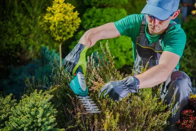 landscaping services Vandercook Lake